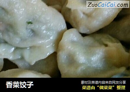 香菜饺子