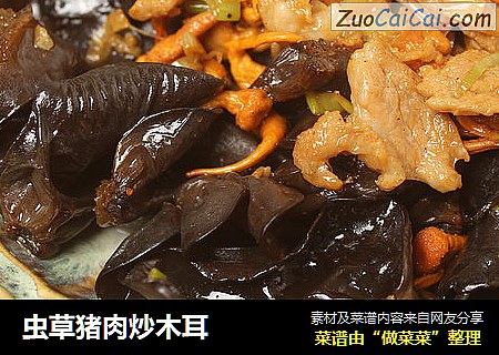 虫草猪肉炒木耳