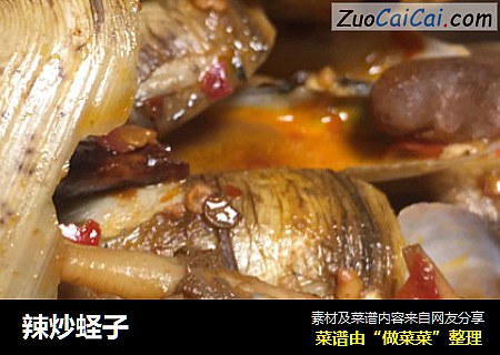 辣炒蛏子
