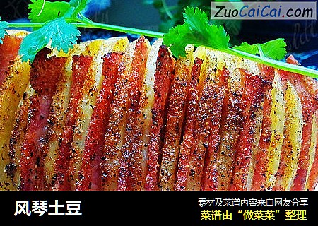 风琴土豆