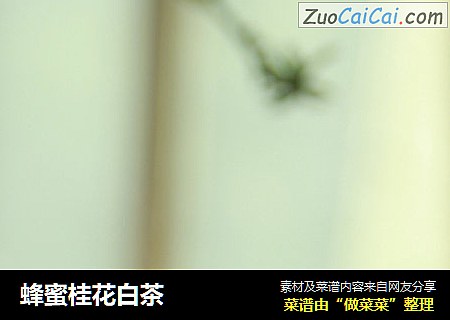 蜂蜜桂花白茶