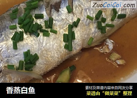 香蒸白鱼