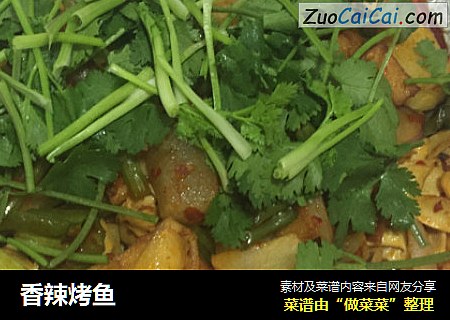 香辣烤鱼