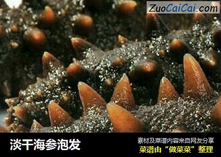 淡干海参泡发