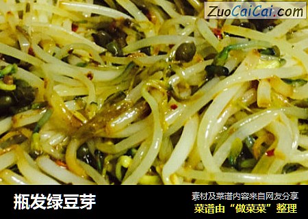 瓶发绿豆芽