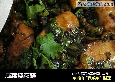 咸菜烧花鲢