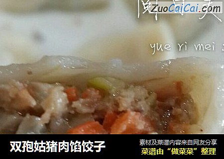 双孢姑猪肉馅饺子