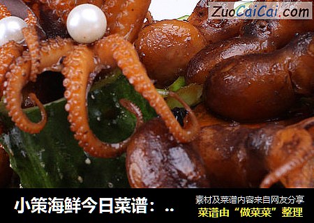 小策海鲜今日菜谱：红烧八爪鱼