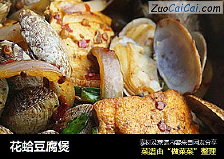 花蛤豆腐煲