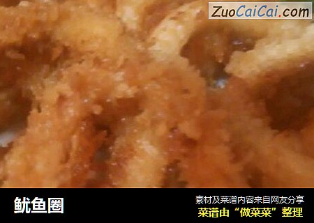 鱿鱼圈