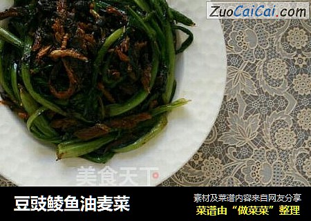 豆豉鲮鱼油麦菜