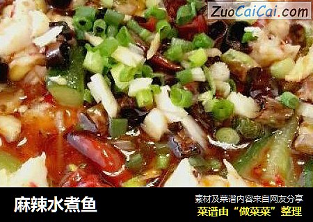 麻辣水煮鱼