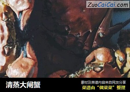清蒸大闸蟹