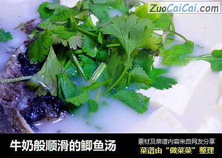 牛奶般顺滑的鲫鱼汤