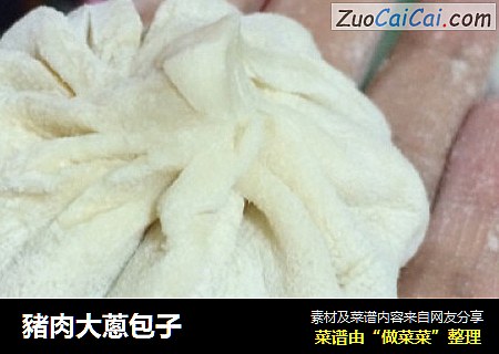 豬肉大蔥包子