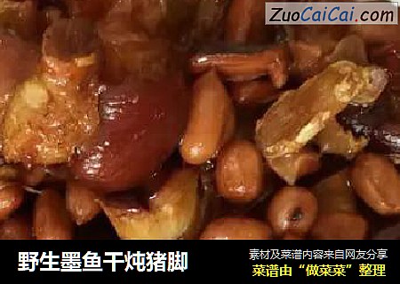 野生墨鱼干炖猪脚