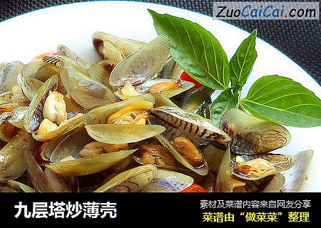 九层塔炒薄壳