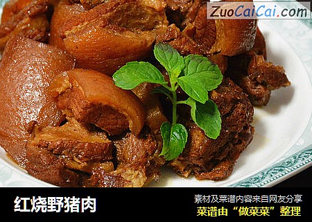 红烧野猪肉