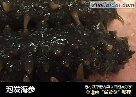 泡发海参