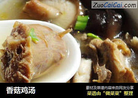 香菇鸡汤