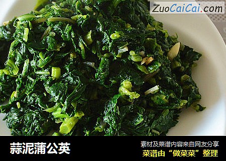 蒜泥蒲公英
