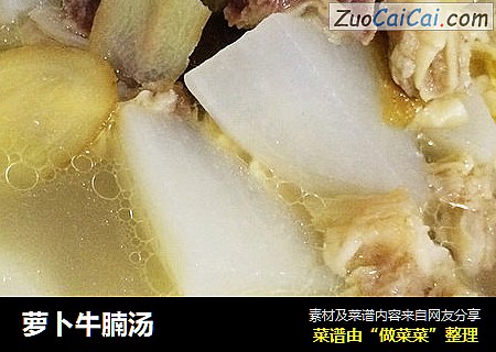 萝卜牛腩汤
