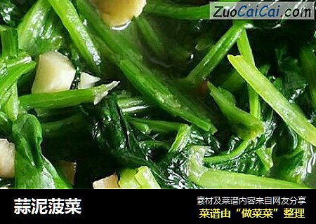 蒜泥菠菜