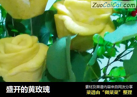 盛开的黄玫瑰