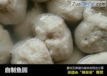 自制鱼圆