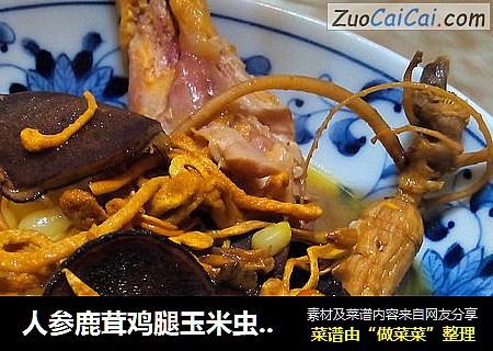 人参鹿茸鸡腿玉米虫草汤