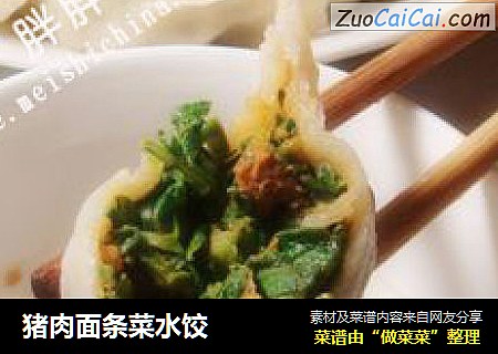 猪肉面条菜水饺