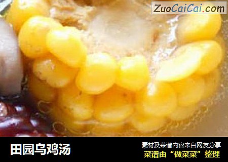 田园乌鸡汤