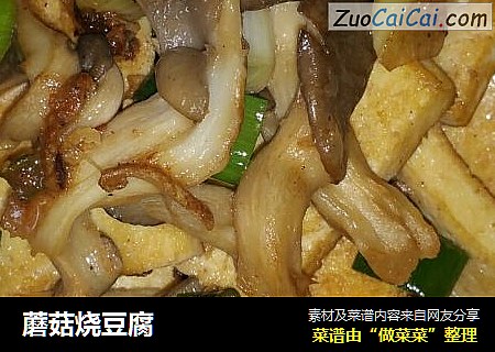 蘑菇烧豆腐