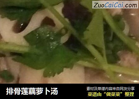 排骨莲藕萝卜汤
