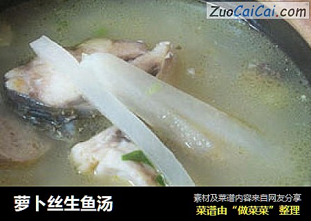 萝卜丝生鱼汤