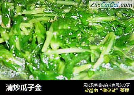 清炒瓜子金