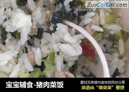 宝宝辅食-猪肉菜饭