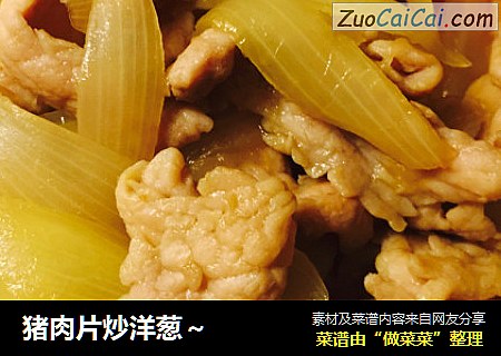 猪肉片炒洋葱～
