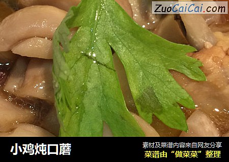小鸡炖口蘑