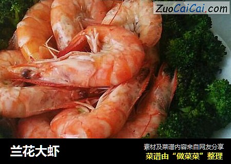 兰花大虾