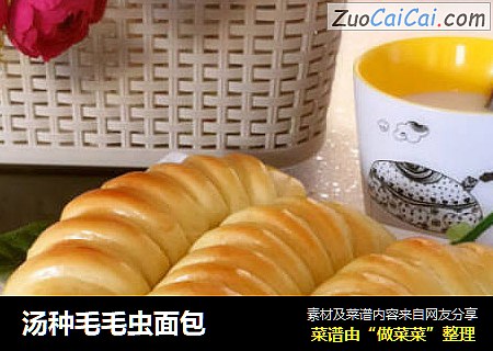 汤种毛毛虫面包