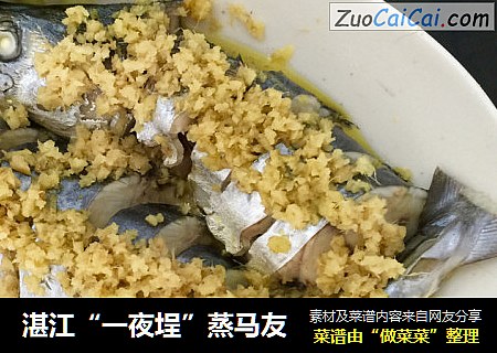 湛江“一夜埕”蒸马友