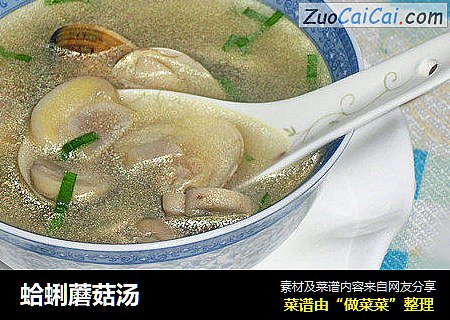 蛤蜊蘑菇汤