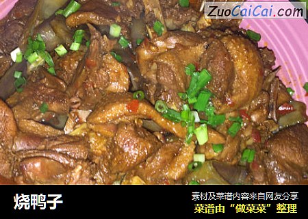 烧鸭子