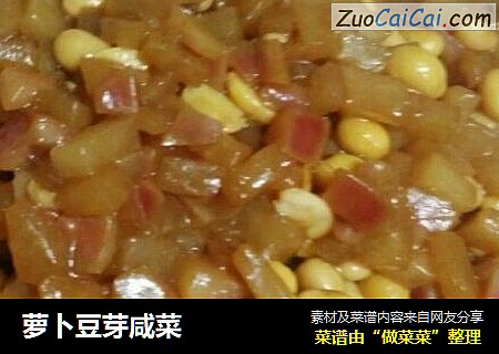 萝卜豆芽咸菜