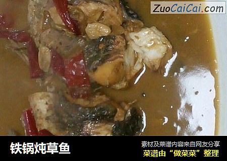铁锅炖草鱼