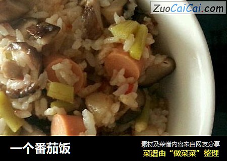 一个番茄饭