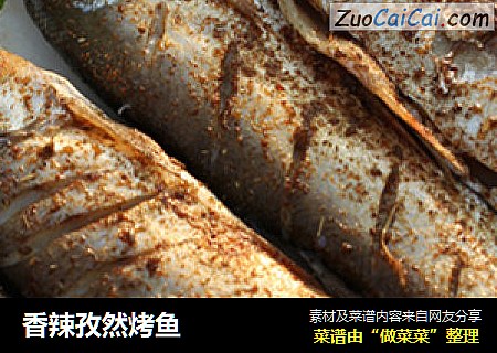 香辣孜然烤鱼