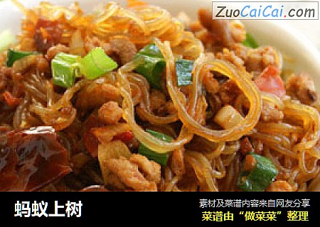 蚂蚁上树