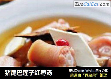 猪尾巴莲子红枣汤